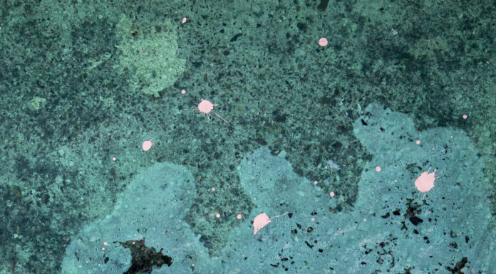 Highlights 2020: New Photography