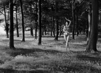 K. Thorn’s a Dancer