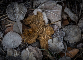 unintended for this world