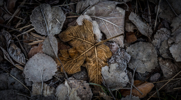 unintended for this world