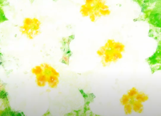 Selections from Forthcoming Album, “Low & Lily”