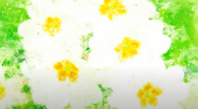 Selections from Forthcoming Album, “Low & Lily”