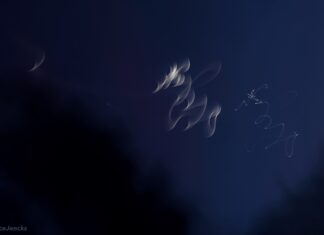 Saturn Swings For The Moon – For Jenn Zed