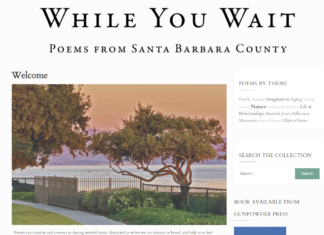 “While You Wait” Anthology