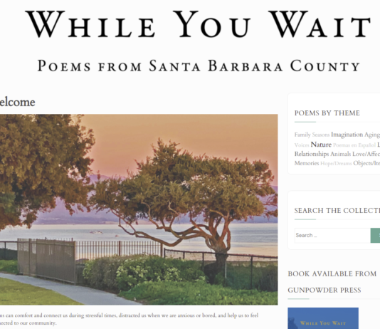 “While You Wait” Anthology