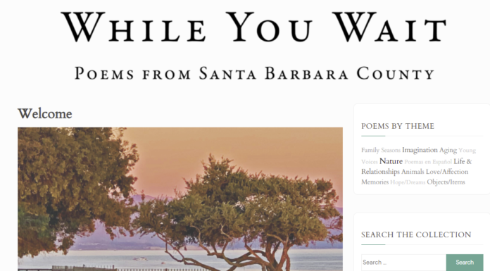 “While You Wait” Anthology