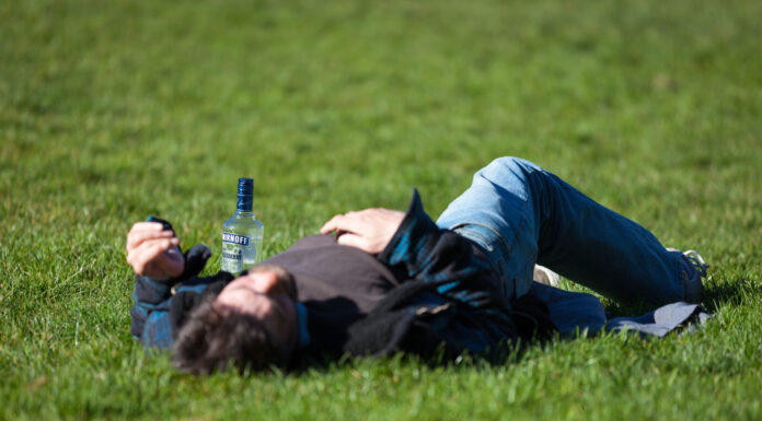 Sunday, you rotten bitch