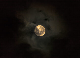 What Happens When You Forget to Close Your Bedroom Window