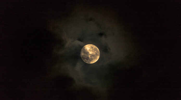 What Happens When You Forget to Close Your Bedroom Window