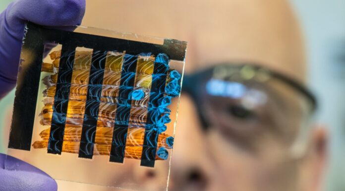 Unsolved Mystery #101