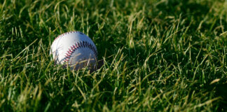 he who fears bees, fears flowers