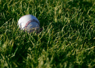 he who fears bees, fears flowers