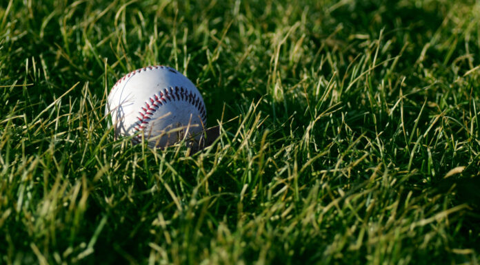 he who fears bees, fears flowers