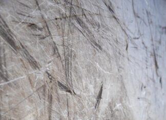 Inner Space Exploration: New Work (2021)