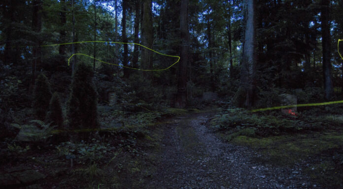 Prendere lucciole per lanterne (‘to take fireflies for lanterns’)