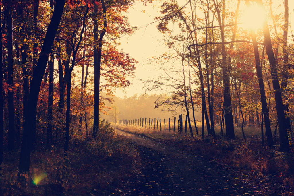 End of October