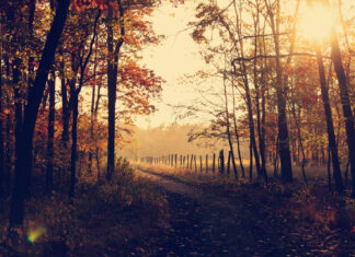 End of October