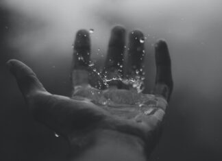 When the storms arrive time lapse photography of water hitting left palm