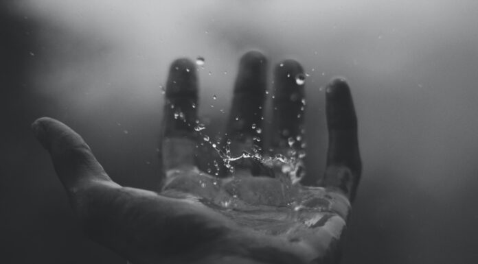 When the storms arrive time lapse photography of water hitting left palm