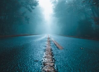 Road Trip gray concrete road and green leafed trees