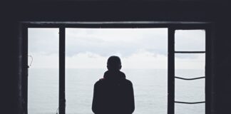 Accept no substitute person looking out through window