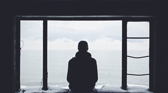 Accept no substitute person looking out through window