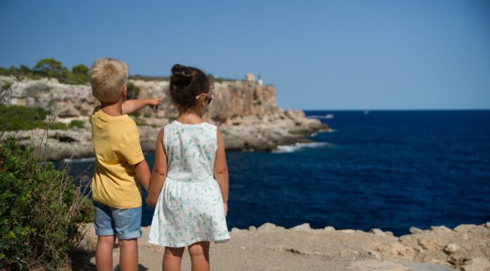 A Difficult Character two children standing near cliff watching on ocean at daytime