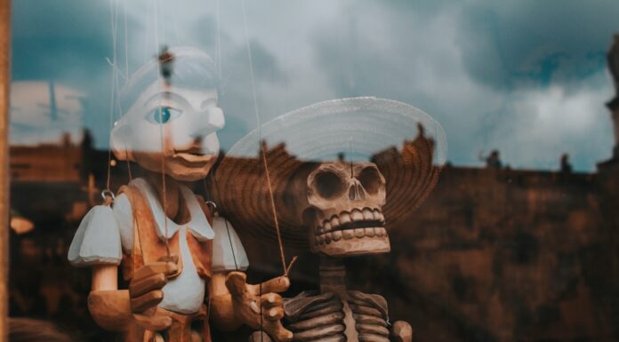 The Matriarch of the sidewalk shallow focus photography of puppet toys