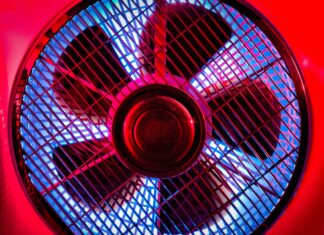 A Sad Tale with No Moral