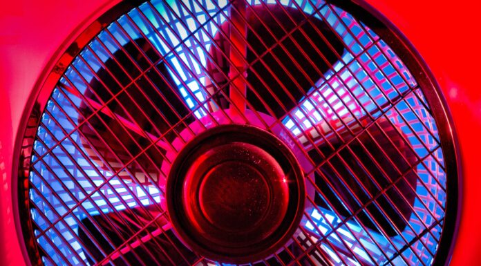 A Sad Tale with No Moral