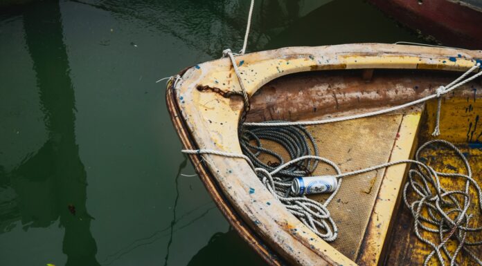 Go Fish beer can on brown boat with ropes