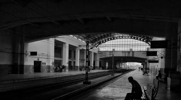 I’m going to go look for a job tomorrow