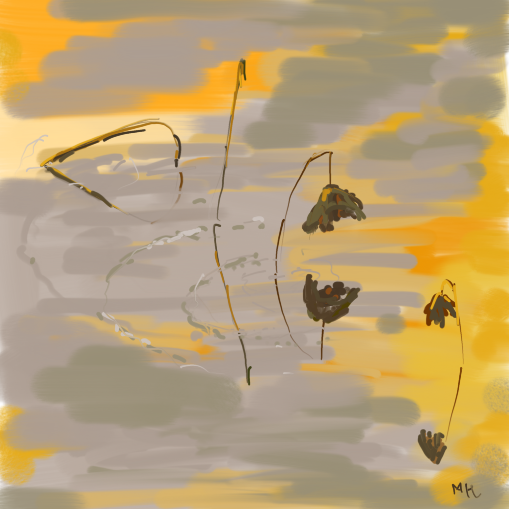 Reflection