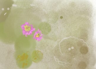 In this life, we met