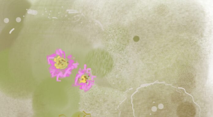 In this life, we met