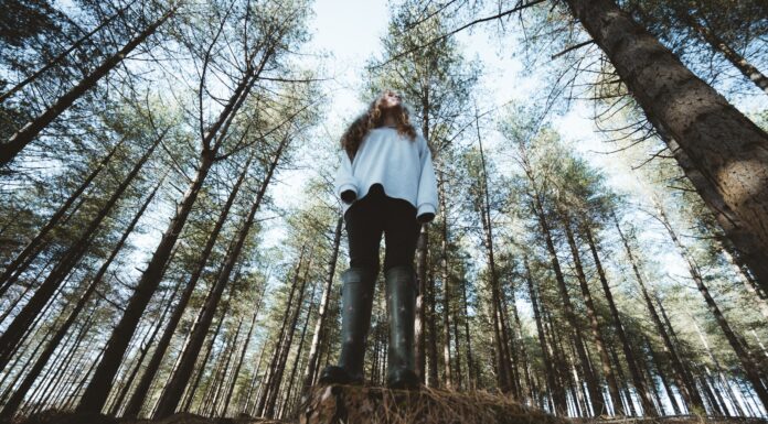 If you let me I’ll change my room into woods woman in white long sleeve shirt and black pants standing on brown dried grass during daytime