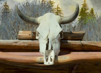 No Memory of the Wind