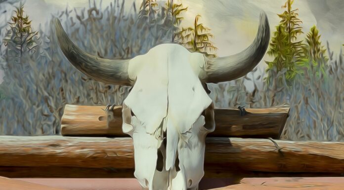 No Memory of the Wind