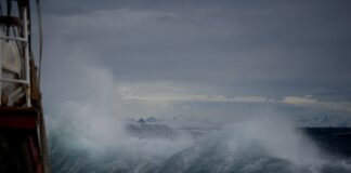 Missing (for my grandparents) huge wave at daytime