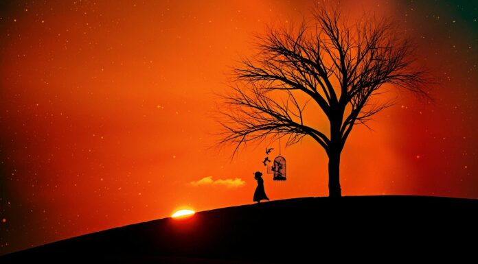 Dear Charles Bukowski,