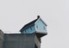 Apologies, but this is how i feel tonight blue concrete storey house on top of building at daytime