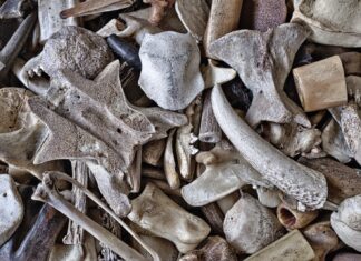 4:43 a.m. gray stines