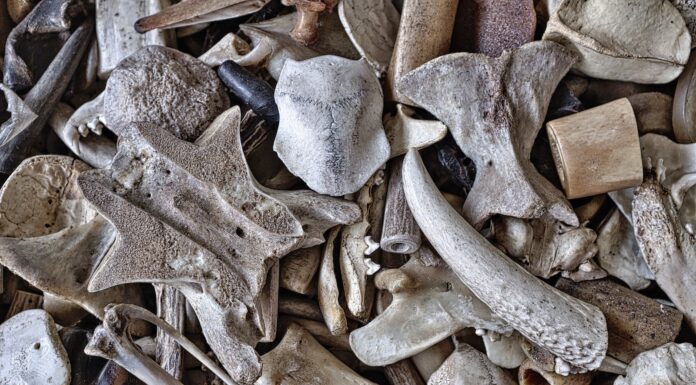 4:43 a.m. gray stines