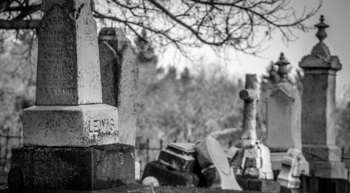 AFTER JOE BOLTON (FOR TOHM BAKELAS) grayscale photography of cemetery