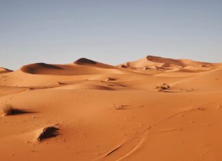 Empty Metaphors landscape photography of desert