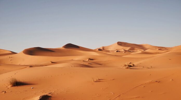 Empty Metaphors landscape photography of desert