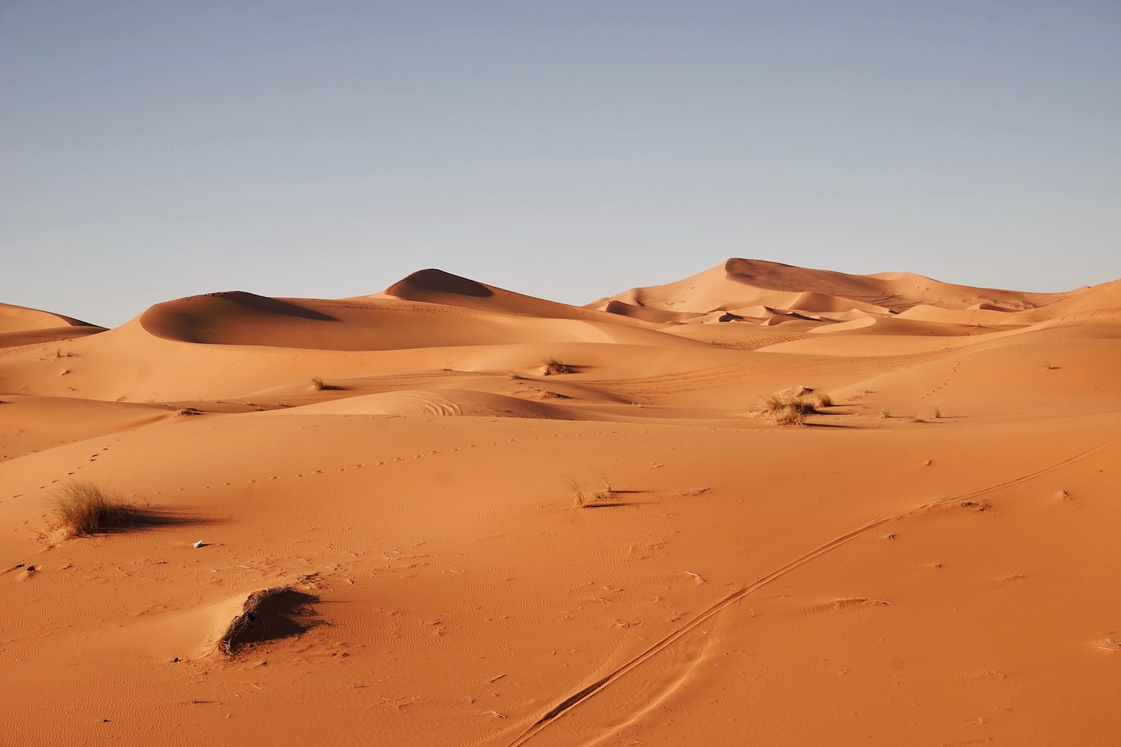 landscape photography of desert