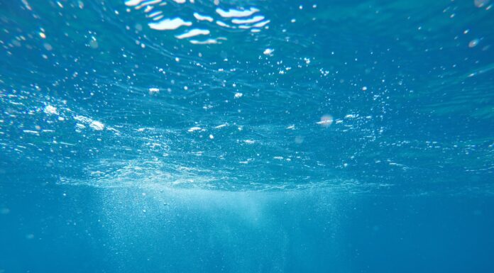 1 Star Rating underwater photo