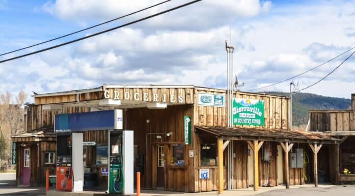 Bottom feeding at the gas station slots brown and white concrete building during daytime