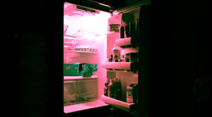 summer heat opened refrigerator filled with bottles